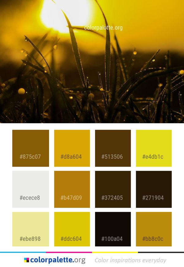 Moisture Water Dew Color Palette