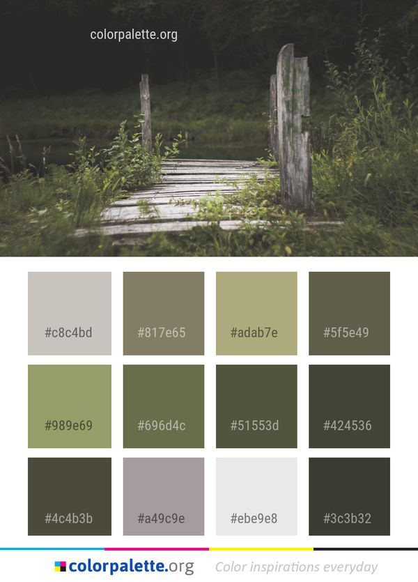 Nature Tree Grass Color Palette