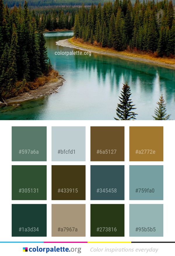 Nature Water Reflection Color Palette