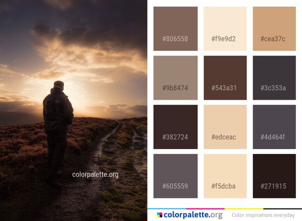 Sky Cloud Horizon Color Palette