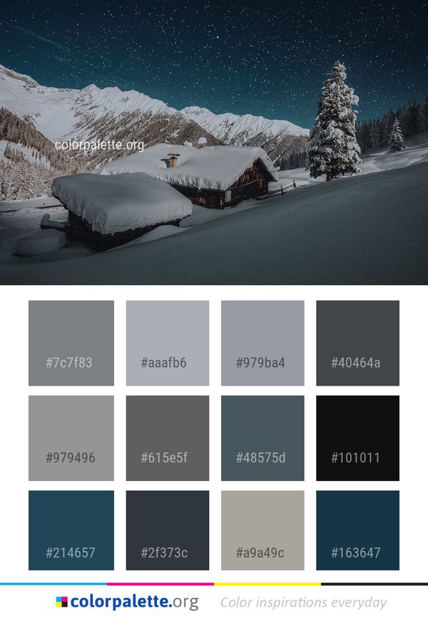 Snow Winter Nature Color Palette