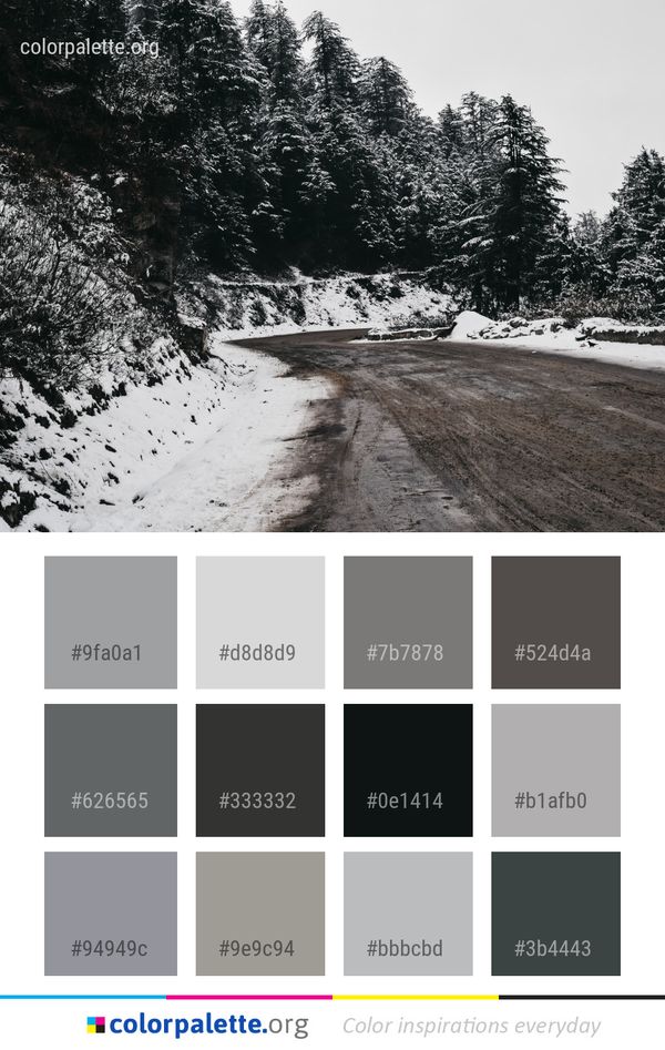 Snow Winter Tree Color Palette