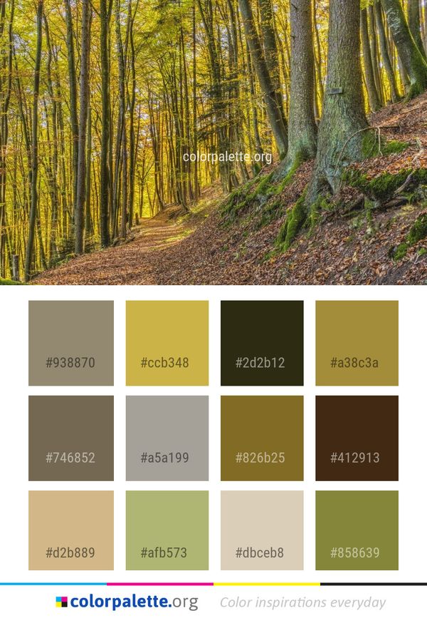 Woodland Ecosystem Forest Color Palette