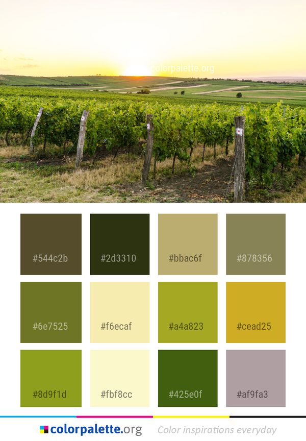 Agriculture Vineyard Field Color Palette