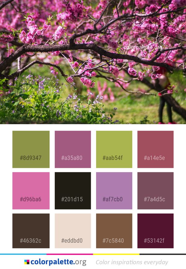 Pink Blossom Tree Color Palette