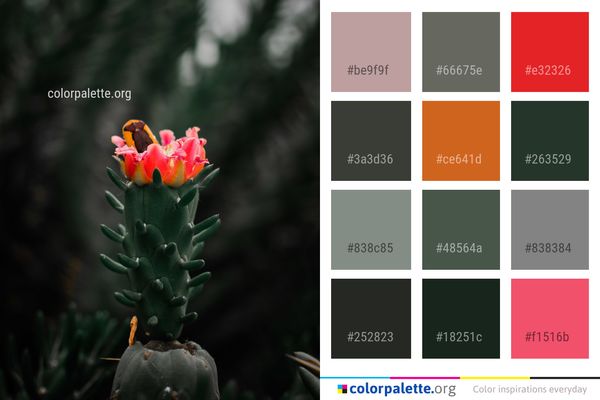 Plant Flora Flowering Color Palette