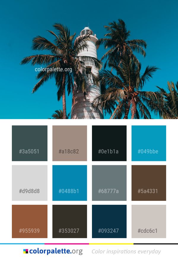 Sky Tree Palm Color Palette