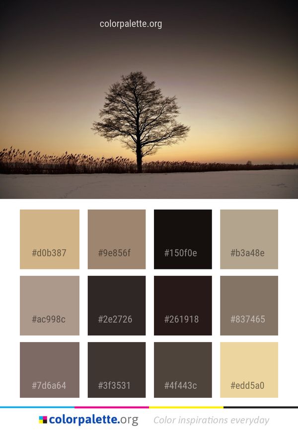 Tree Sky Woody Plant Color Palette