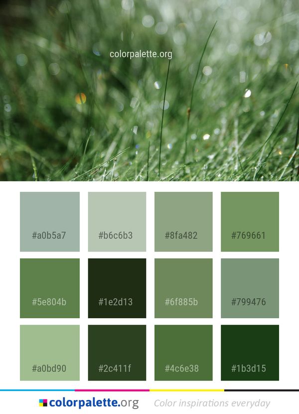 Water Green Grass Color Palette