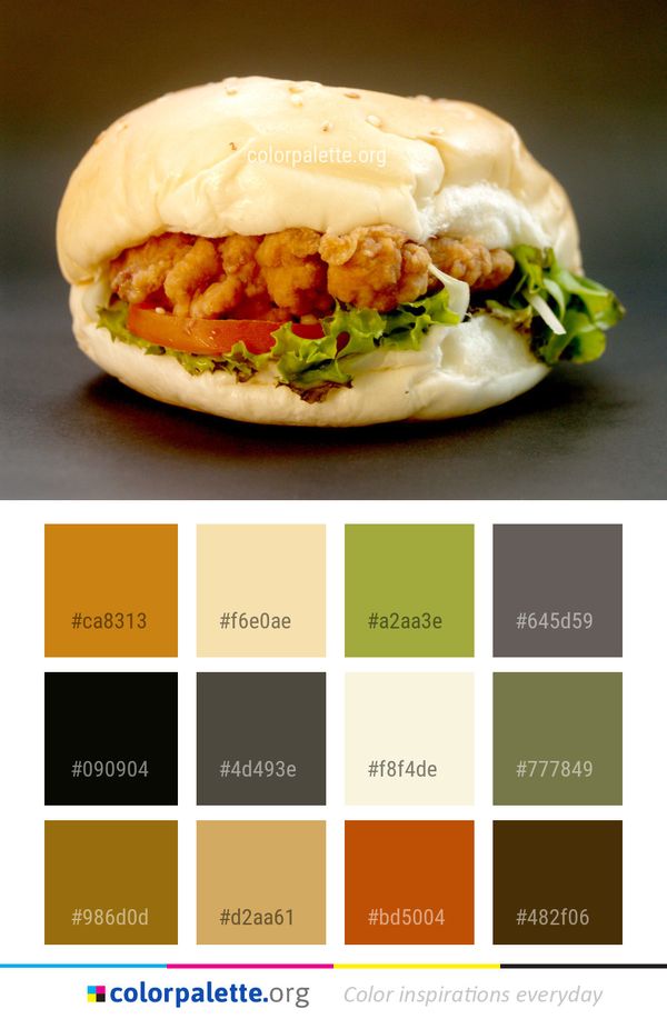 Dish Breakfast Sandwich Food Color Palette