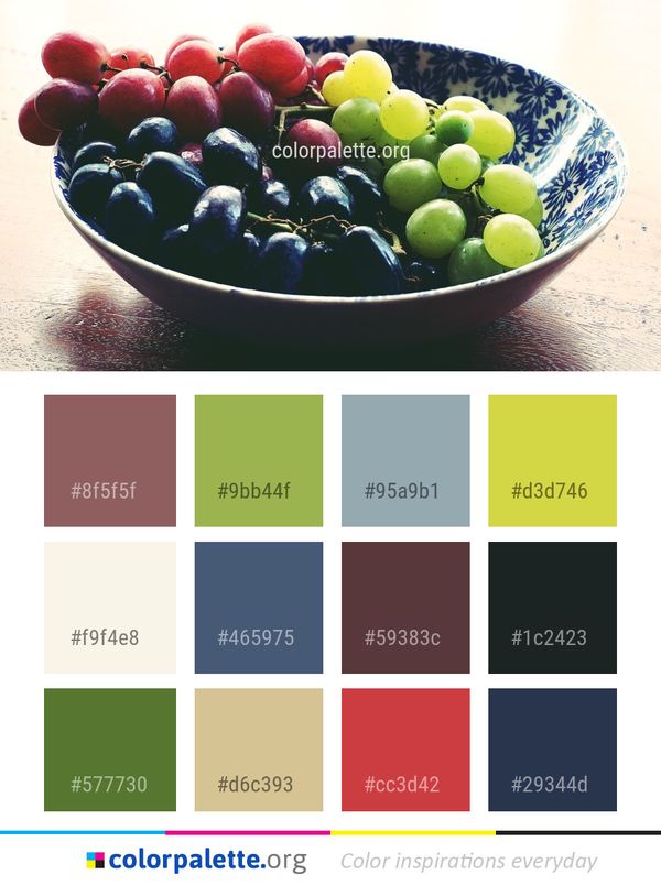 Fruit Grape Grapevine Family Color Palette