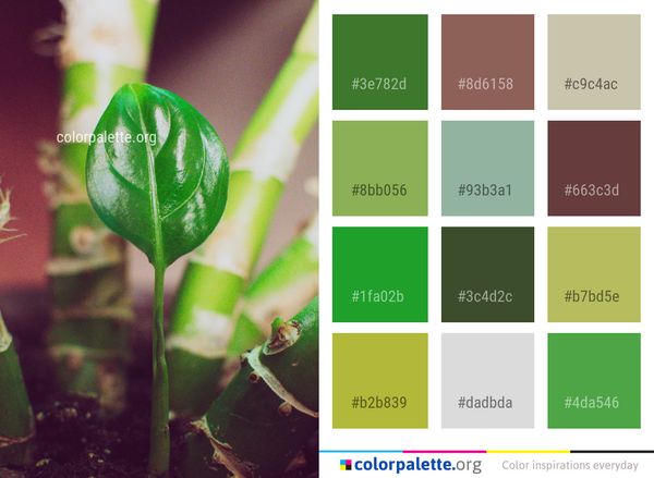 Green Leaf Plant Color Palette