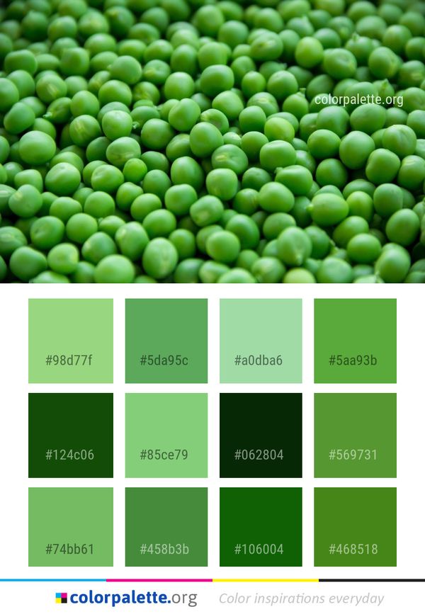 Natural Foods Legume Vegetable Color Palette