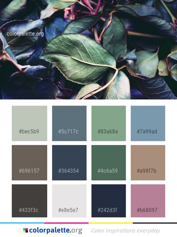 Plant Leaf Color Palette
