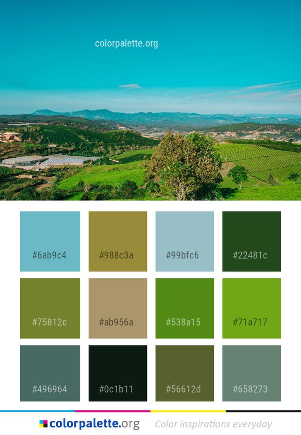 Sky Green Grassland Color Palette