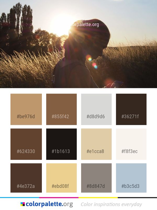 Sun Sky Tree Color Palette