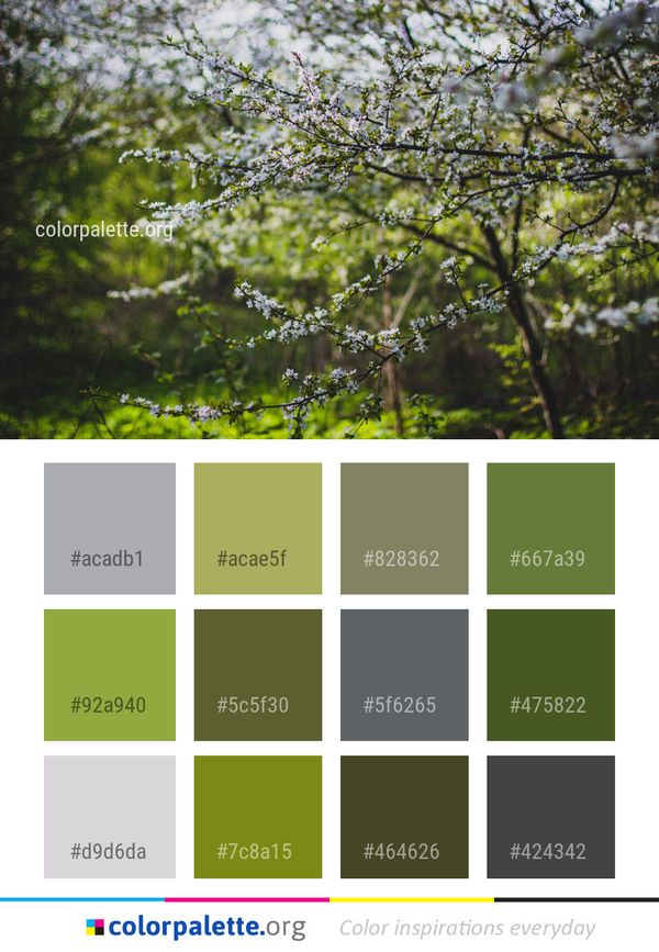 Tree Branch Vegetation Color Palette