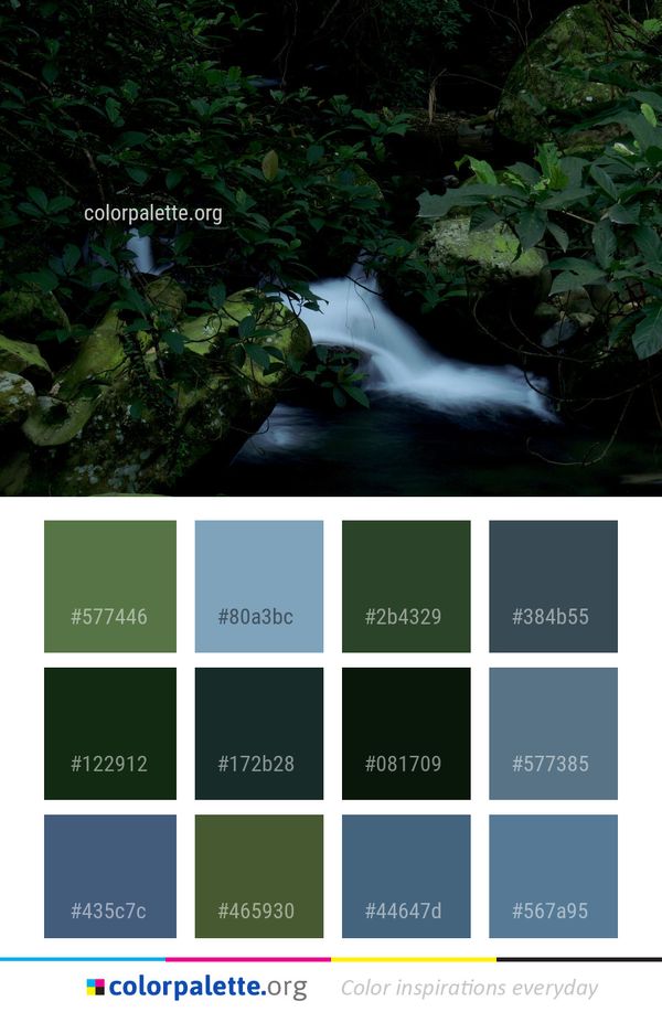 Water Vegetation Nature Color Palette