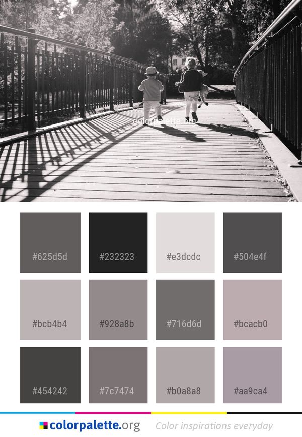 White Black Photograph Color Palette