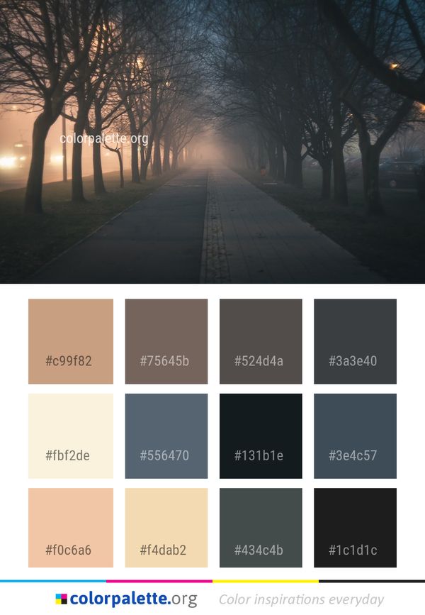 Atmosphere Tree Sky Color Palette