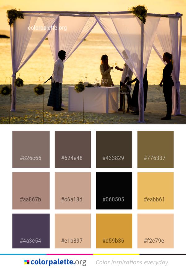 Ceremony Morning Event Color Palette