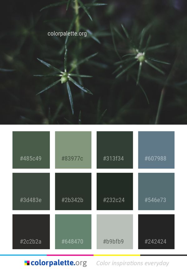Flora Close Up Macro Photography Color Palette