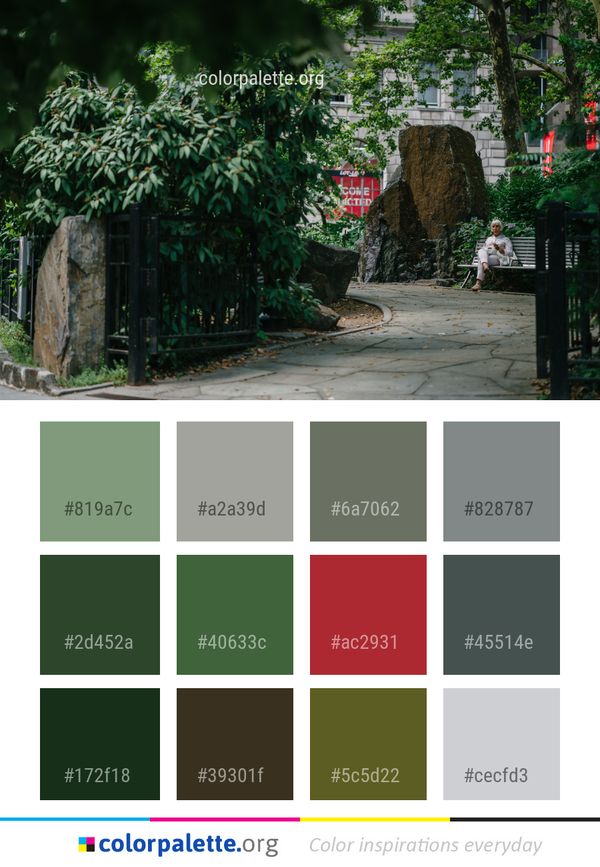 Green Plant Tree Color Palette