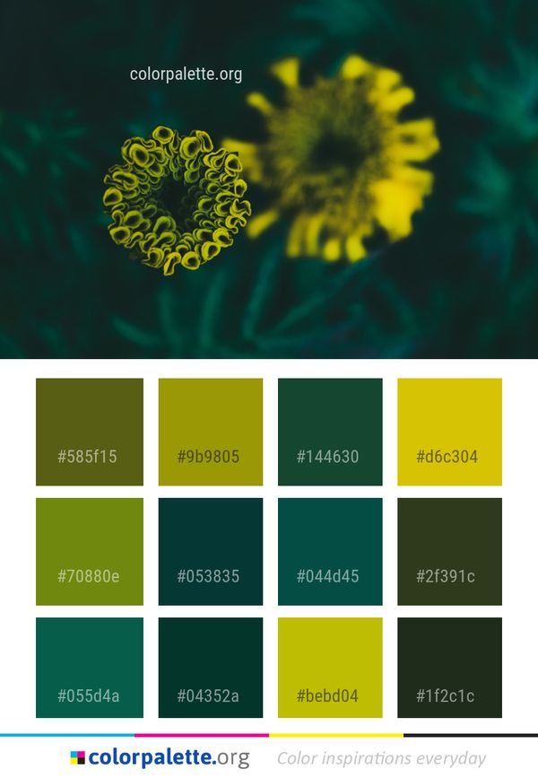 Green Yellow Flower Color Palette