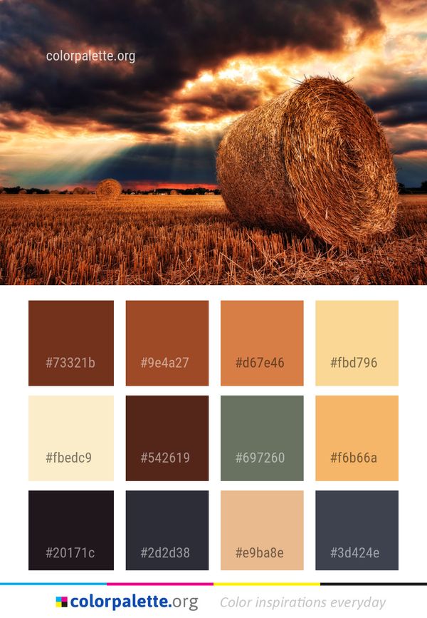 Hay Sky Field Color Palette