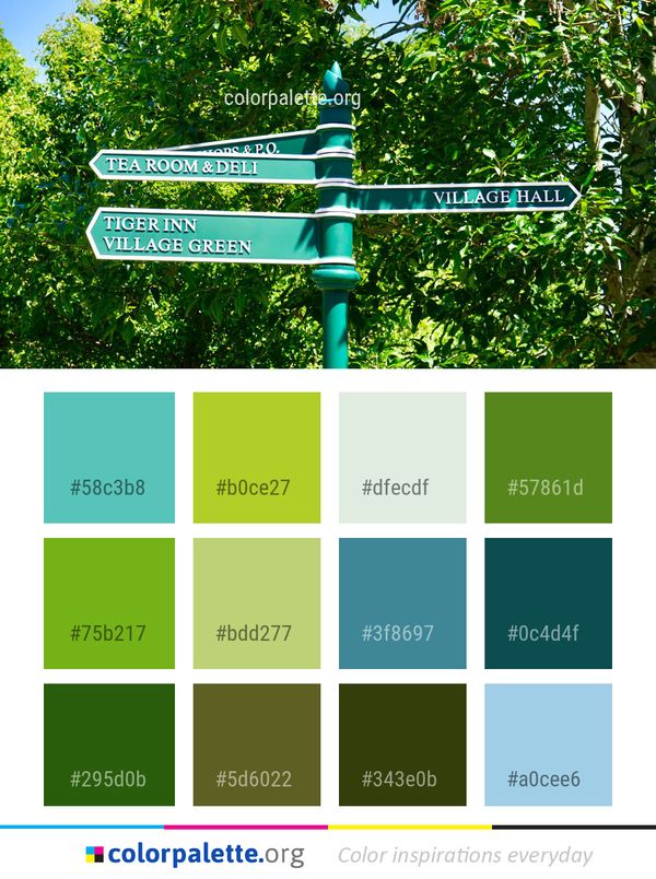 Nature Green Reserve Color Palette