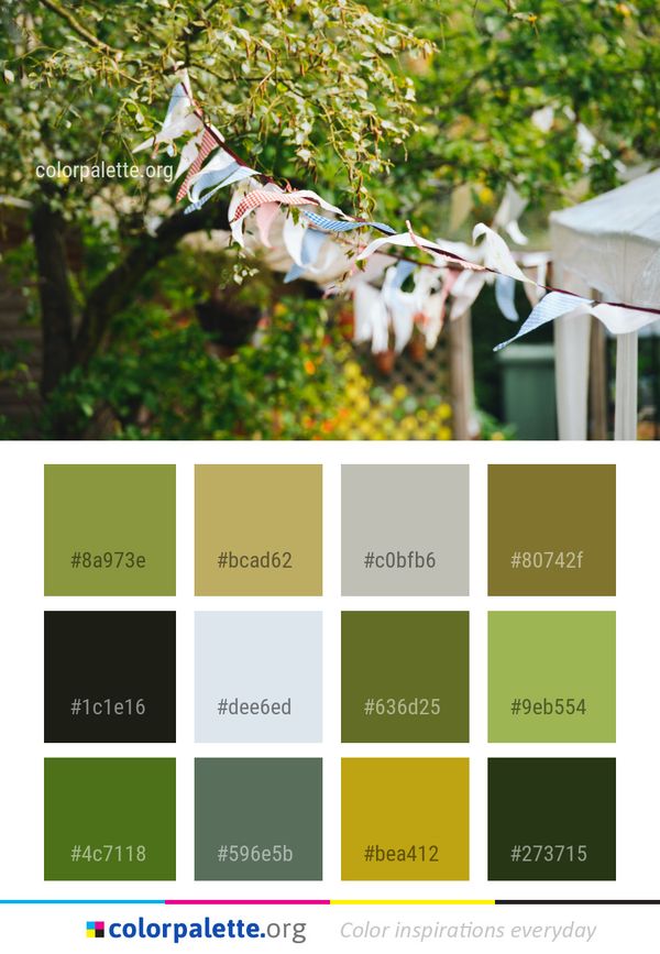 Plant Flora Leaf Color Palette