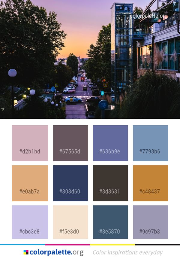 Sky Reflection Tree Color Palette
