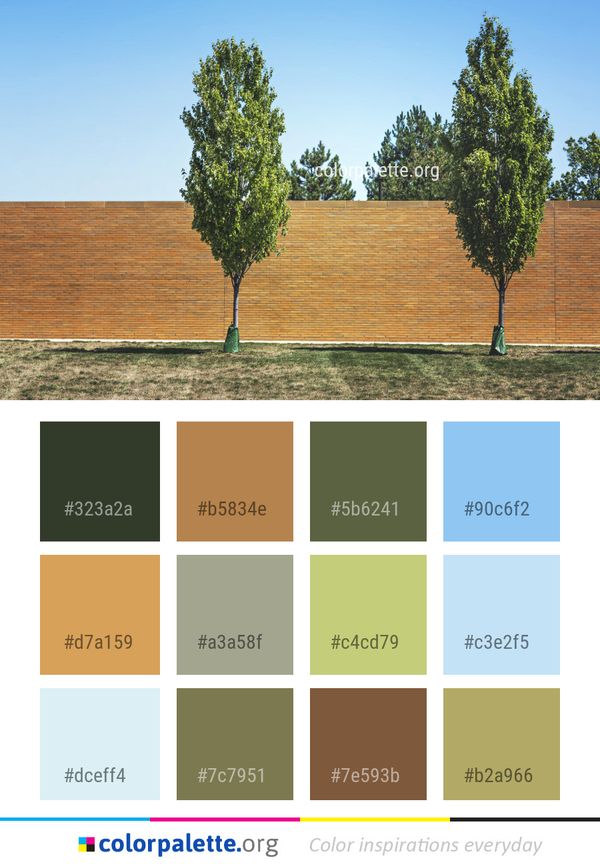 Tree Plant Sky Color Palette