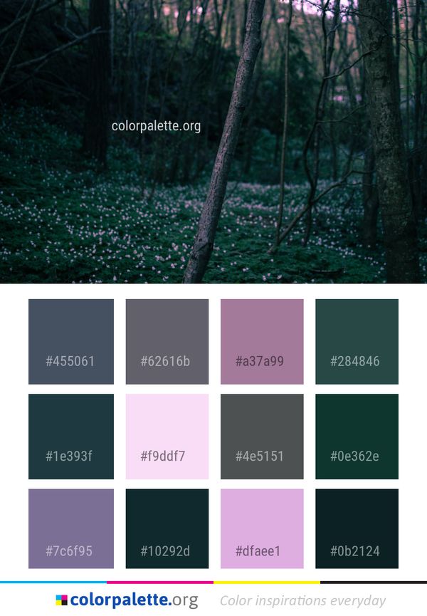 Woodland Forest Nature Color Palette