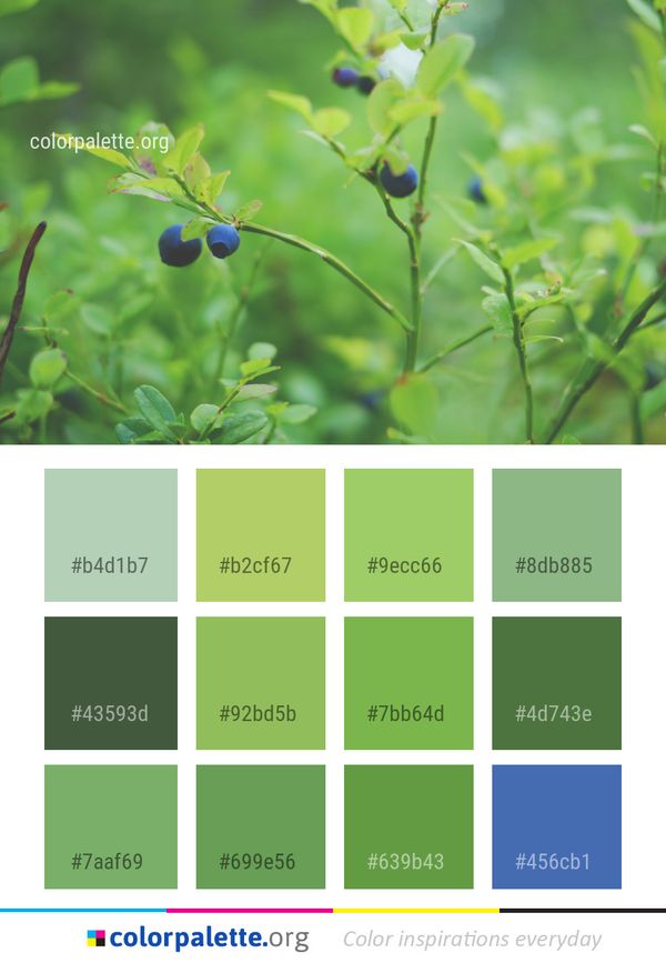 Flora Bilberry Vegetation Color Palette