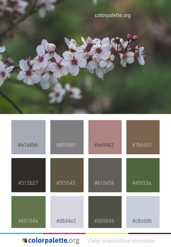 Flower Blossom Spring Color Palette