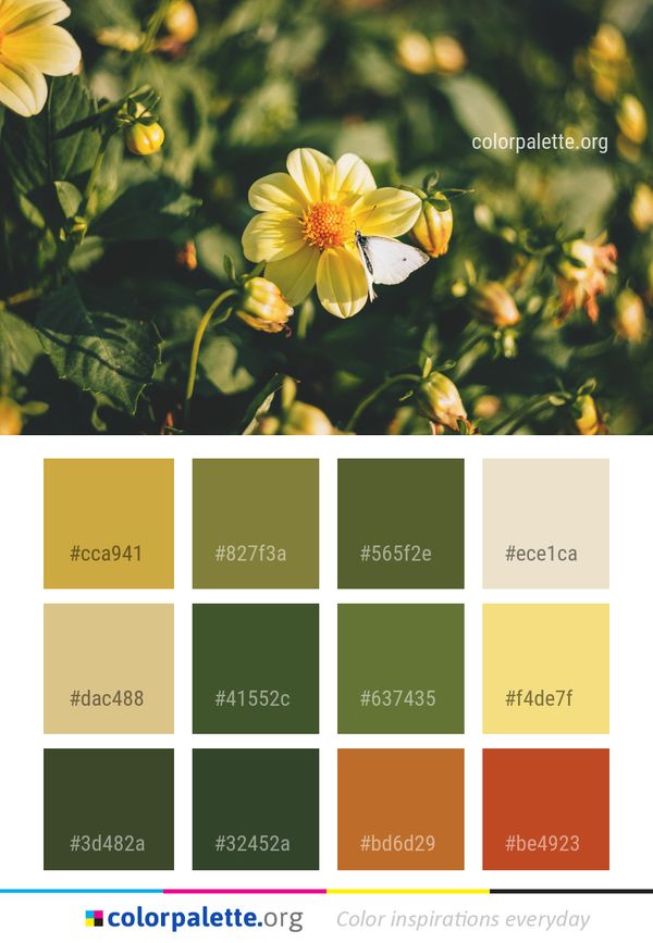 Flower Flora Yellow Color Palette