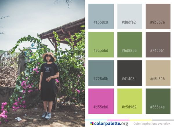 Flower Plant Pink Color Palette