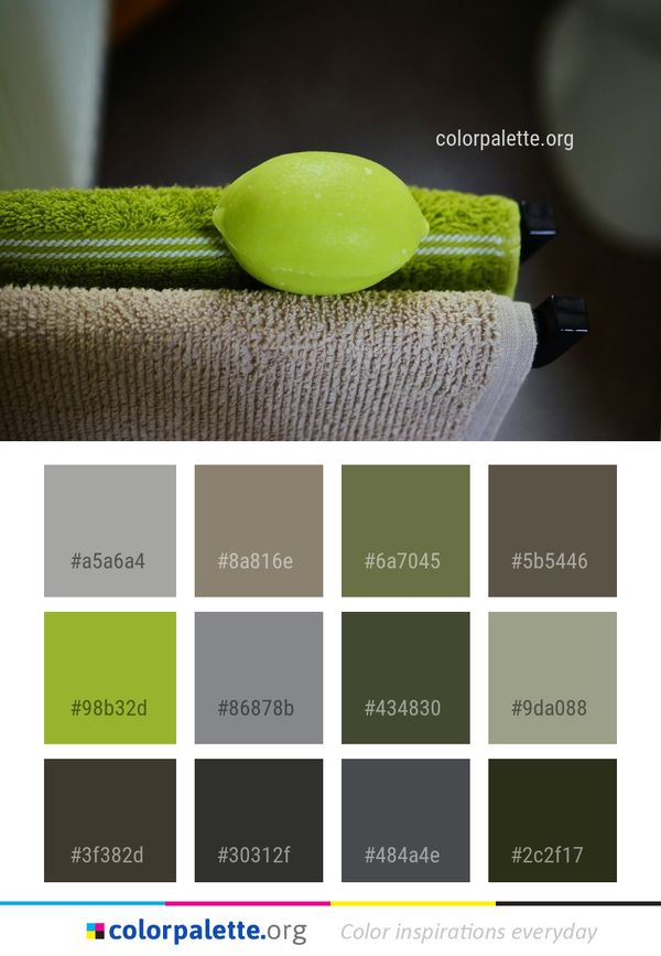 Green Close Up Macro Photography Color Palette