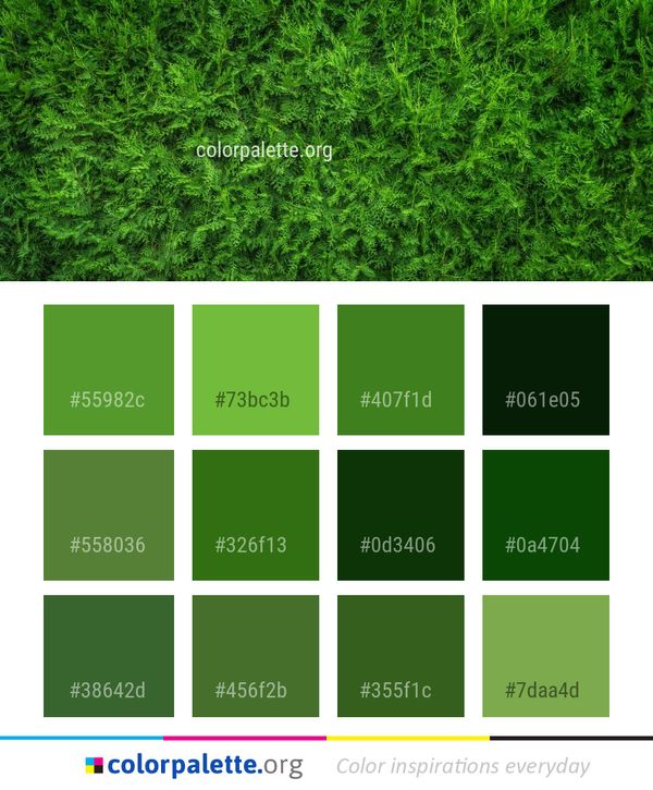 Green Grass Vegetation Color Palette