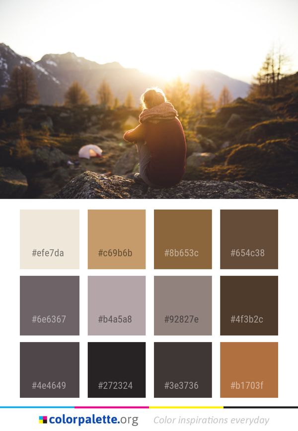 Photograph Sun Light Color Palette