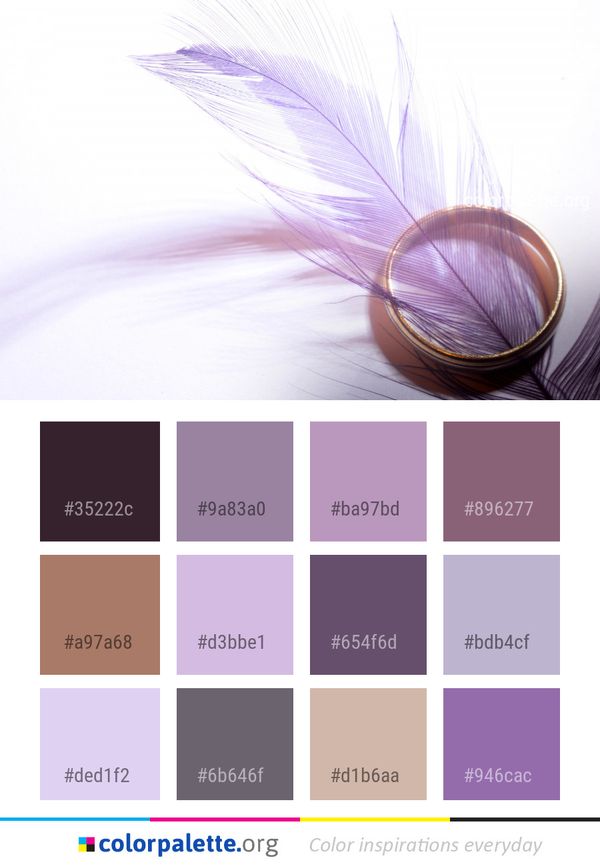 Purple Violet Feather Color Palette