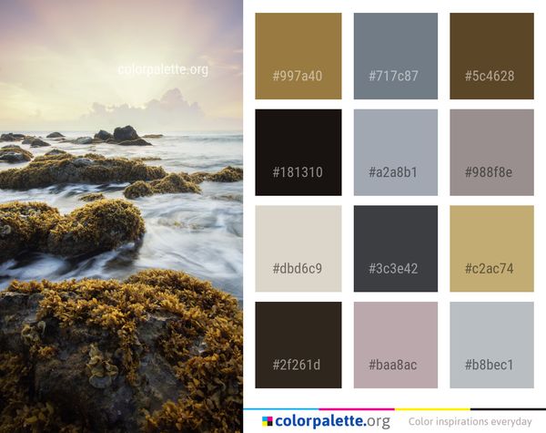 Sea Shore Coast Color Palette