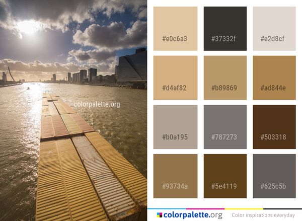 Sea Sky Cloud Color Palette
