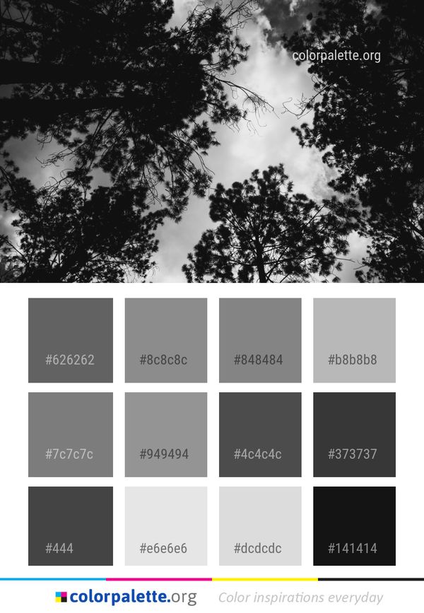Sky Black And White Color Palette