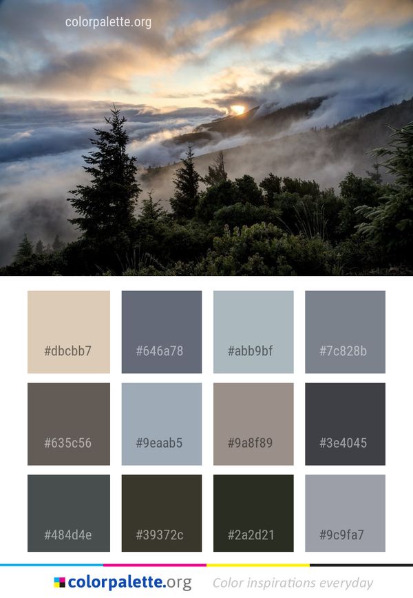 Sky Cloud Tree Color Palette