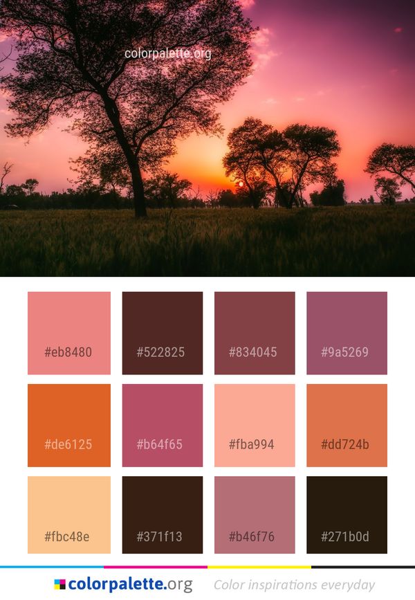 Sky Nature Tree Color Palette
