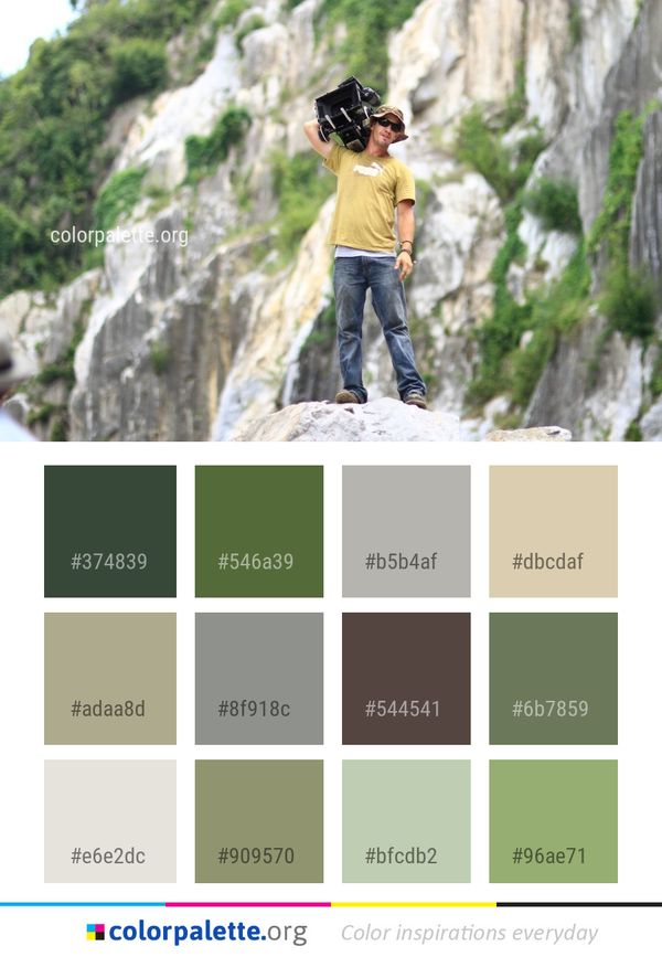 Tree Rock Adventure Color Palette