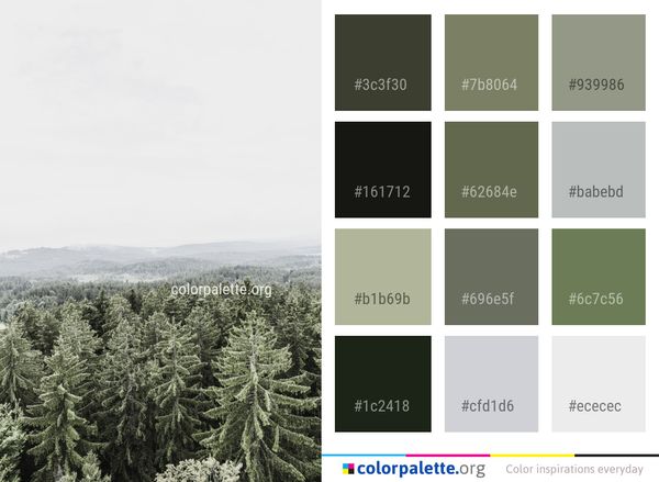 Tree Vegetation Ecosystem Color Palette