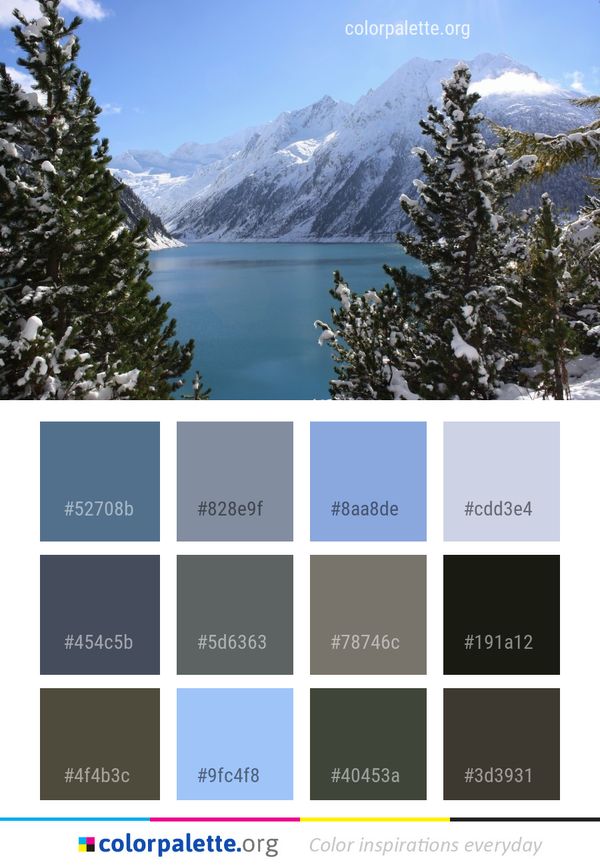 Winter Wilderness Lake Color Palette